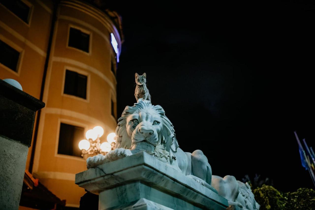 Hotel Coandi アラド エクステリア 写真