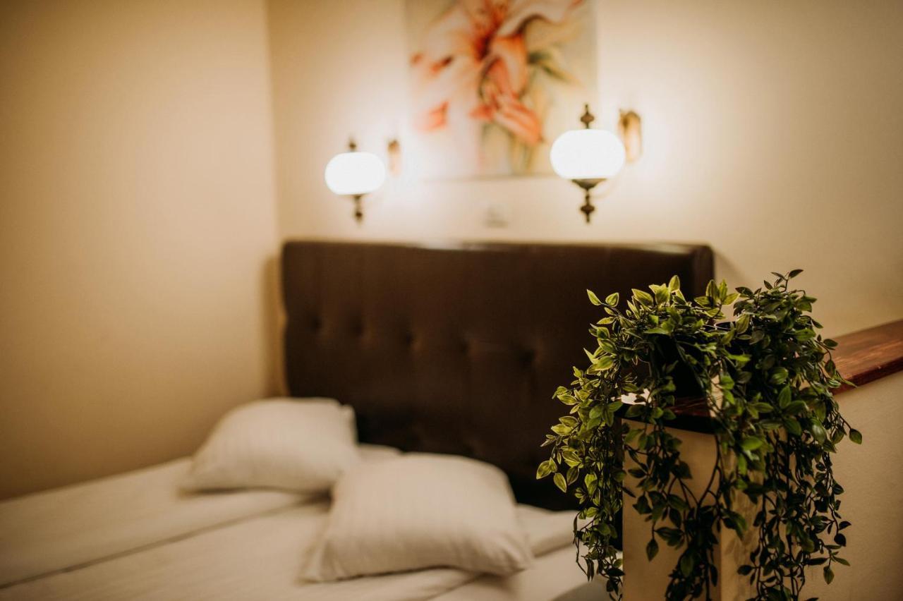 Hotel Coandi アラド エクステリア 写真